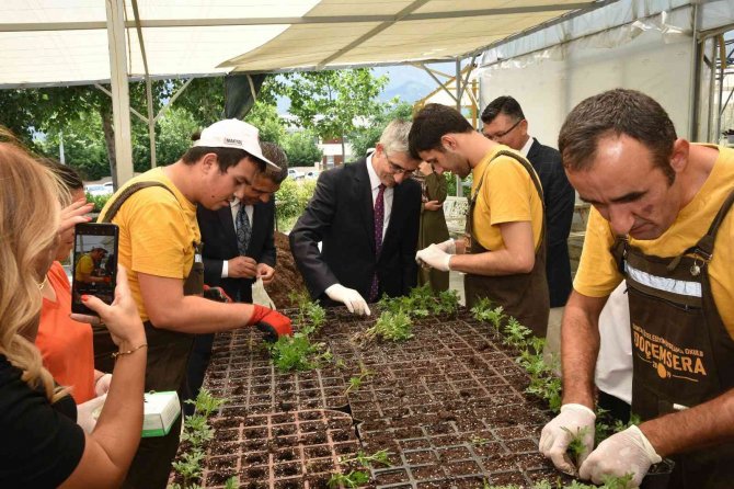 Meb Bakan Yardımcısı Yılmaz, Denizli’de İncelemelerde Bulundu