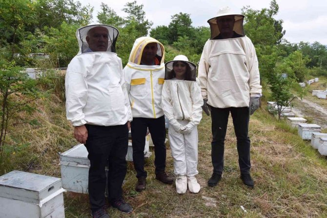 Ordu’da Arıcılara Polen Toplama Tuzağı Desteği