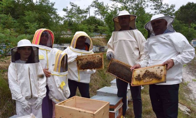 Ordu’da Arıcılara Polen Toplama Tuzağı Desteği