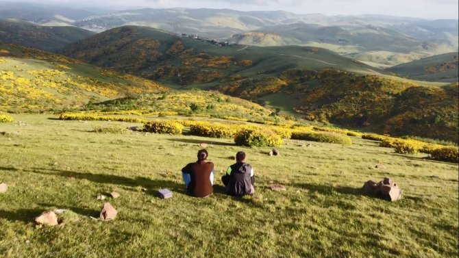 Perşembe Yaylası’nda Orman Gülleri İle Renk Cümbüşü