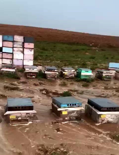 Yüzlerce Kovan Çamura Gömüldü