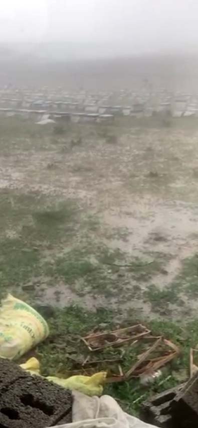 Yüzlerce Kovan Çamura Gömüldü
