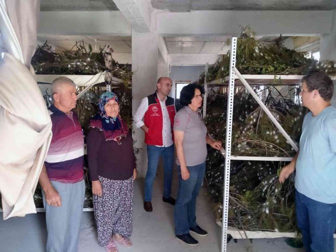 İ̇pekböcekçiliğine Destek Arttı, Üreticinin Yüzü Güldü