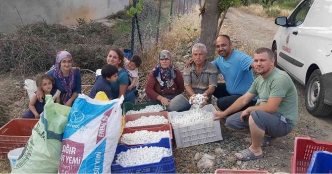 İ̇pekböcekçiliğine Destek Arttı, Üreticinin Yüzü Güldü