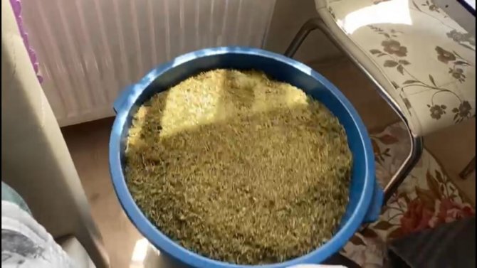 Tekirdağ’da Kova Dolusu Uyuşturucu Ele Geçirildi