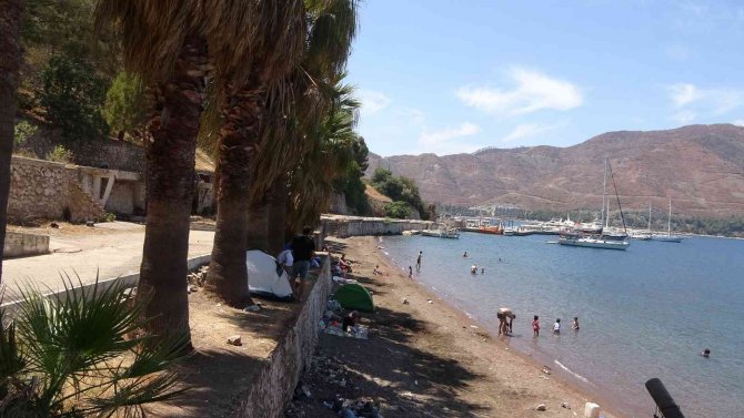 Terk Edilmiş Koyda Çadır Kurdu, Belediyeden Bir Kürek Bir Süpürge İstiyor