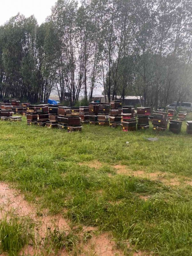 Bal Üretiminde Rekolte Beklentisi Arttı