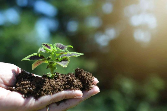 Anketler ‘Nükleer’ Diyor