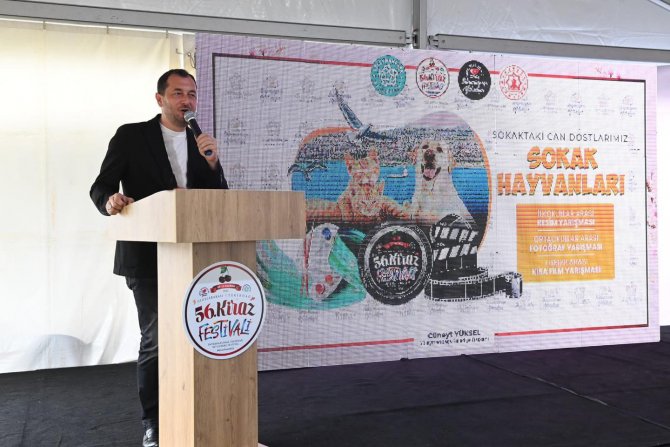 Sokak Hayvanları Temalı Yarışmada Ödüller Verildi