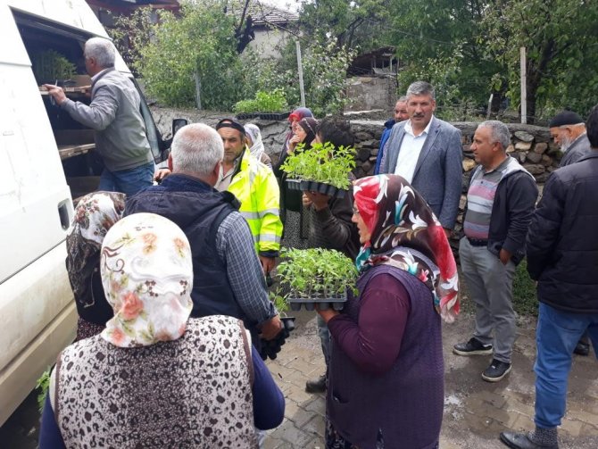 Akdağmadeni’nde Doludan Etkilenen Köylere 10 Bin Adet Sebze Fidesi Dağıtıldı