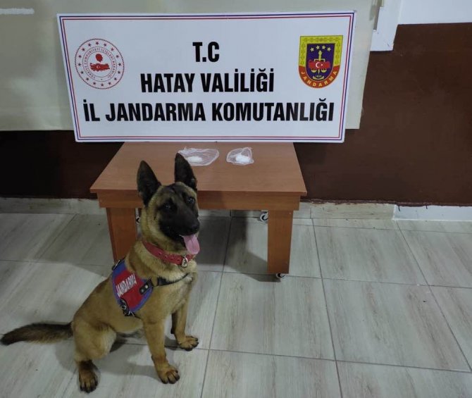 Hatay’da Uyuşturucu Operasyonu: 5 Gözaltı