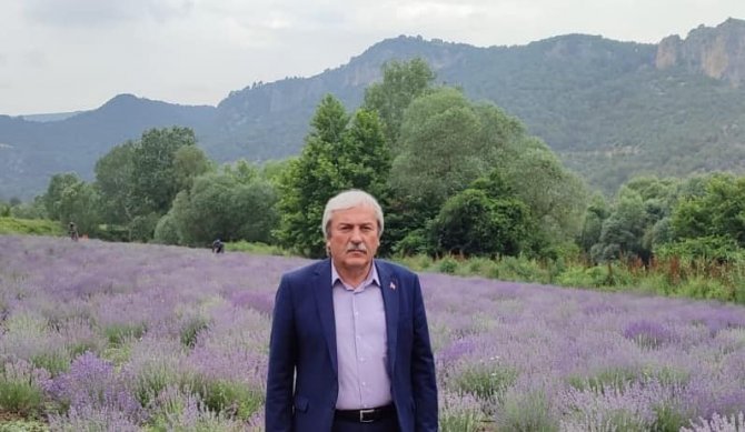 200 Bin Adet Kekik Fidanı Toprakla Buluştu