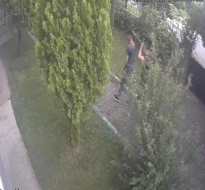 Bursa’da Bisiklet Hırsızlığı Kamerada