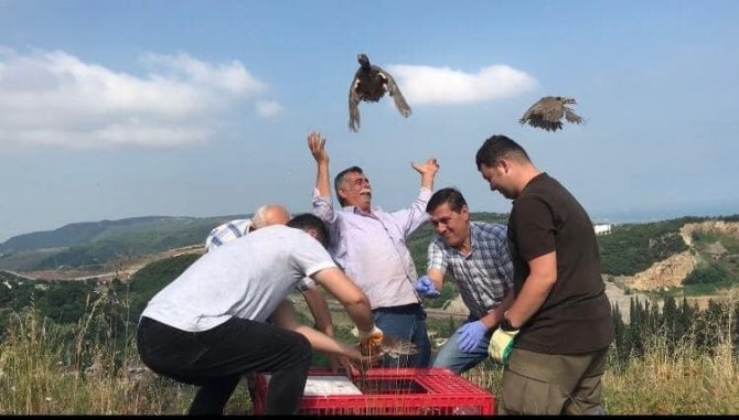 Yalova’da Doğaya 850 Keklik Salımı Yapıldı