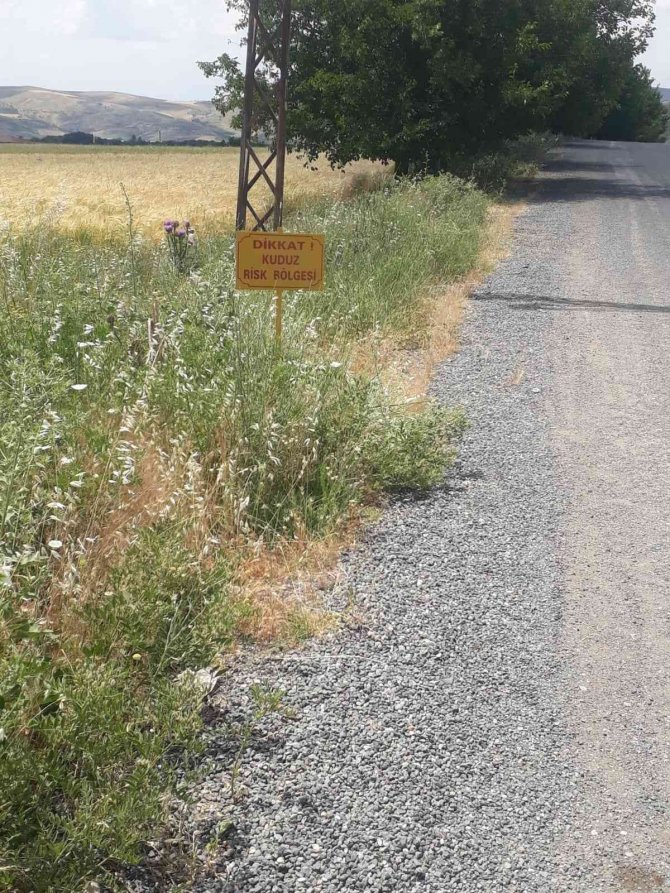 Elazığ’da Bir Köy Kuduz Vakasıyla Karantinaya Alındı