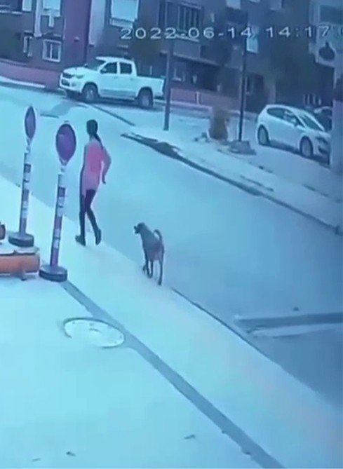 Genç Kızın Son Görüntüleri Güvenlik Kameralarına Böyle Yansıdı