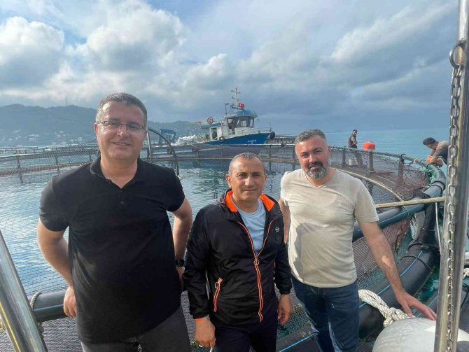 Ordu’dan Rusya’ya Ve Japonya’ya Türk Somonu