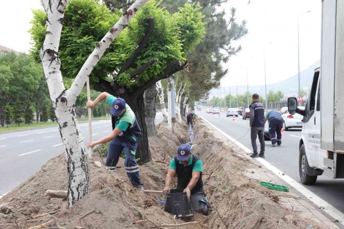 Büyükşehir’den 200 Bin Metrekare Alana Yağmurlama Ve Damla Sulama Sistemi