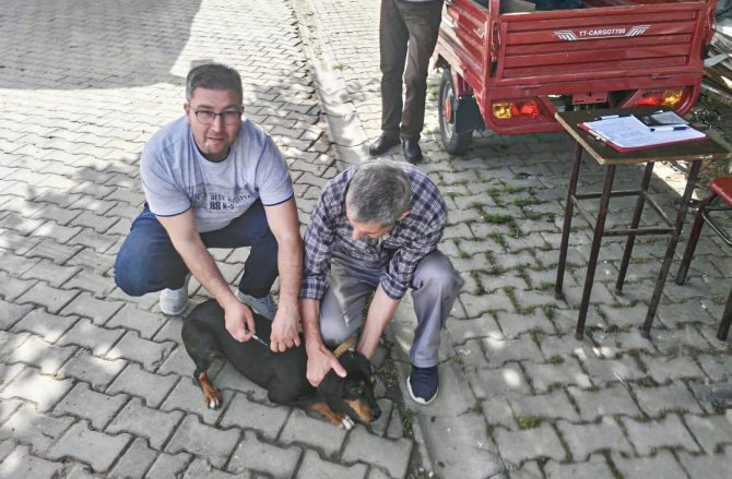 Kuduz Hastalığı İle Mücadele Çalışmaları Sürüyor
