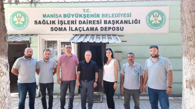 Soma Ve Kırkağaç’ta Haşereyle Mücadele Sürüyor