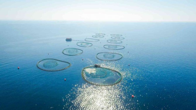 Denizden Döviz Çıktı