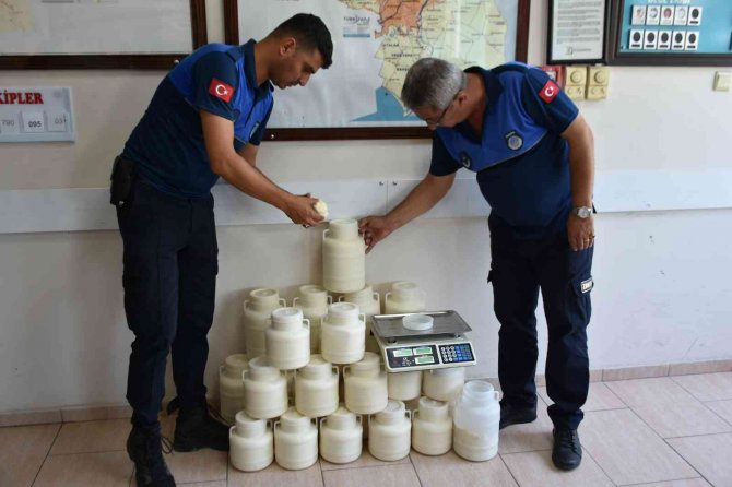 Tarsus’ta Sağlığa Zararlı 830 Kilogram Peynir Ele Geçirildi