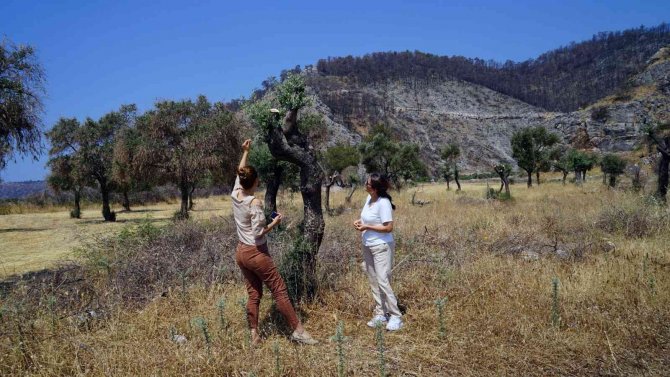 Kadınlara Kompost Yapım Eğitimi