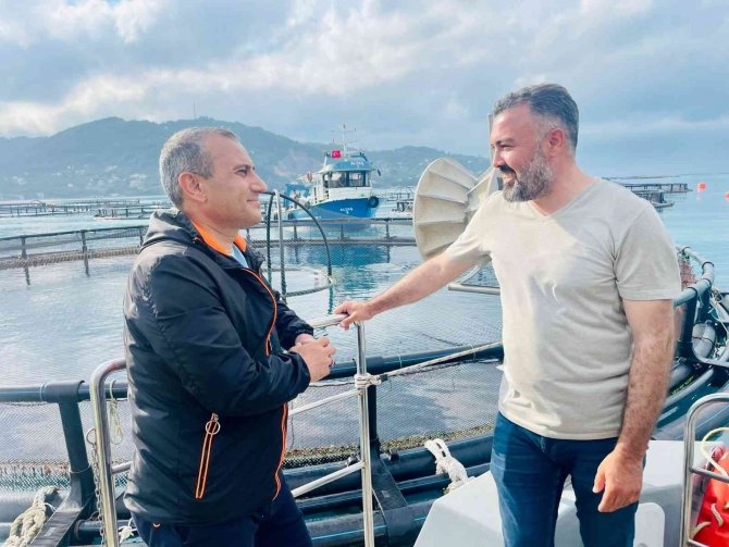 Ordu’dan Rusya’ya Ve Japonya’ya Türk Somonu