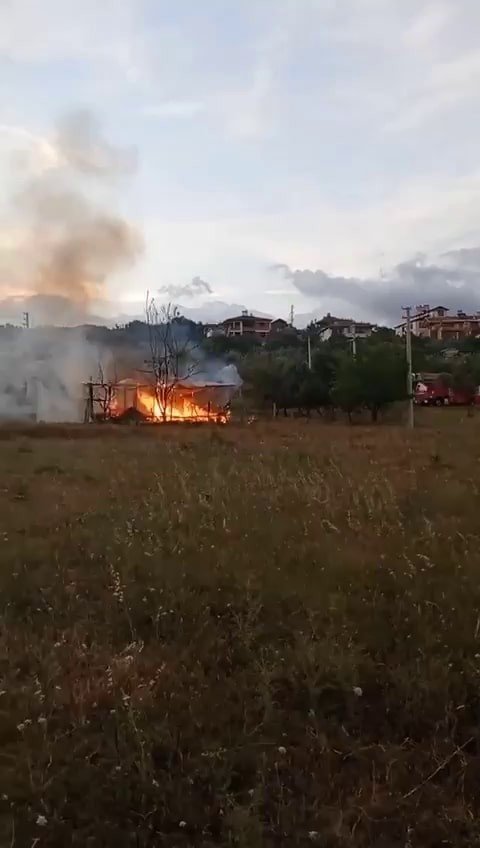 Baraka Alev Alev İşte Böyle Yandı