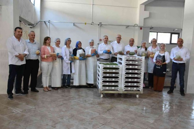 Salihli’de Kurutma Tesisi Üretime Başladı