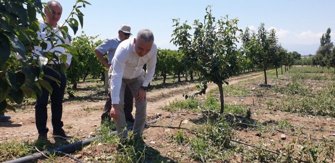 Öztürk, Salihli’de Doludan Etkilenen Tarım Arazilerini İnceledi