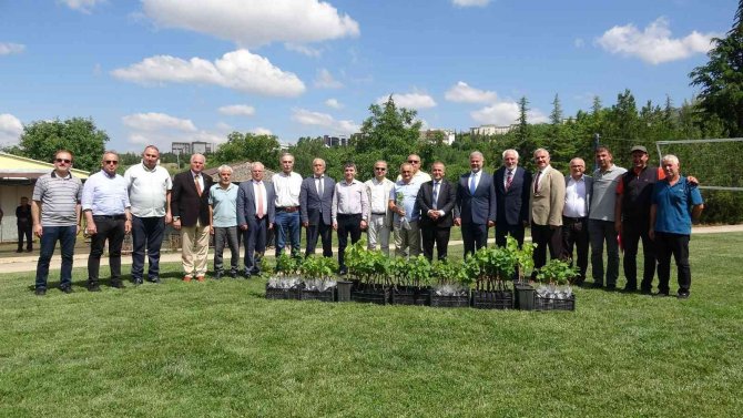 Tokat’ta 12 Bin Adet Tüplü Asma Fidanı İle 400 Ana Arı Törenle Dağıtıldı
