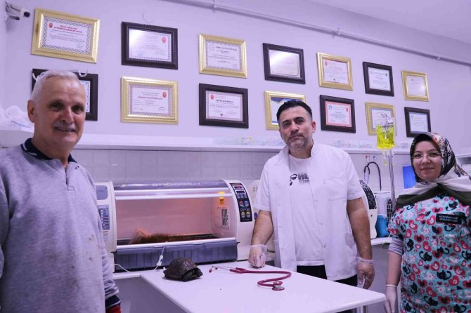 Ölmek Üzere Olan Domuz Yavrusunu 5 Kilometre Sırtında Taşıyarak Veterinere Götürdü