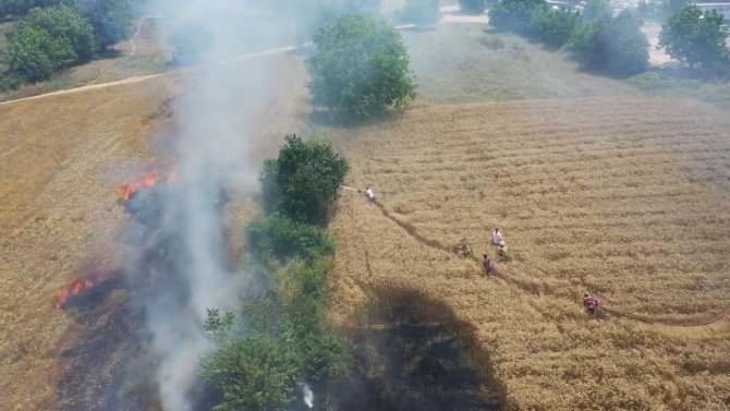 Bursa’da Buğday Tarlası Alev Alev Yandı