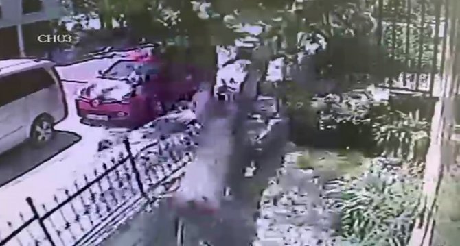 Büyükçekmece’de Ağacın Araç Üstüne Devril Anı Kamerada