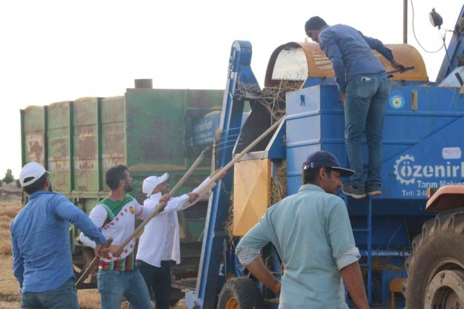 Kene Yapışmasında Yanlış Müdahale Mikroorganizmaların Yayılmasını Hızlandırıyor