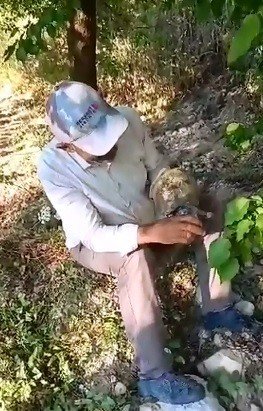Susuzluktan Bitkin Düşen Kaplumbağaya Eliyle Su İçirdi
