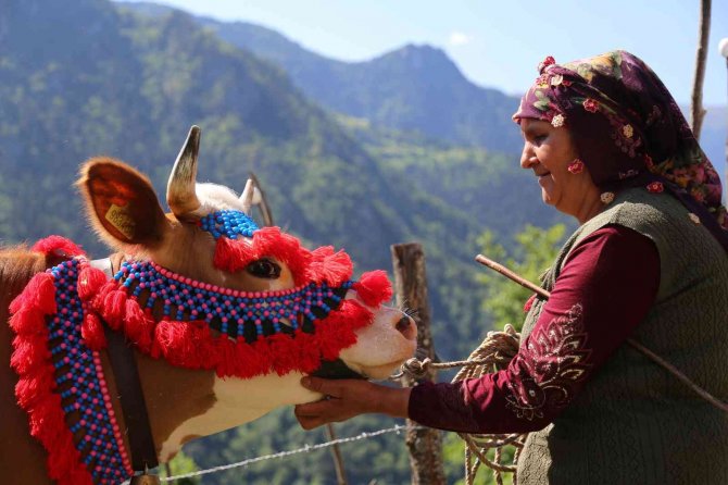 Gümüşhane’de Yayla Göçü Başladı