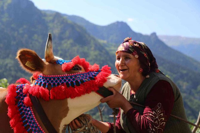 Gümüşhane’de Yayla Göçü Başladı