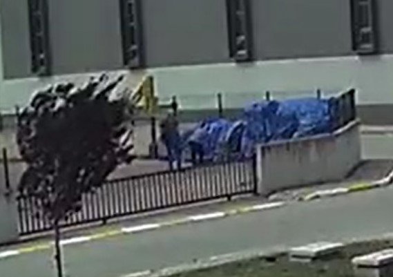 Köpekleriyle Kavga Etti Diye Karşı Firmanın Köpeğini Döverek Öldürdüler
