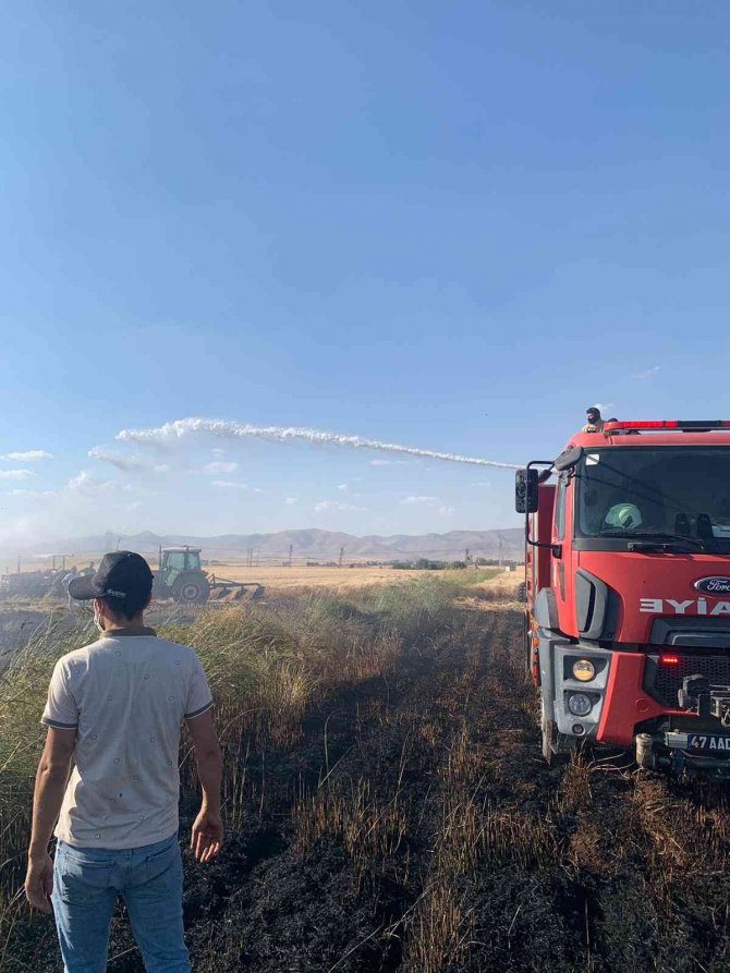 Mardin’de 100 Dönümlük Buğday Tarlası Kül Oldu