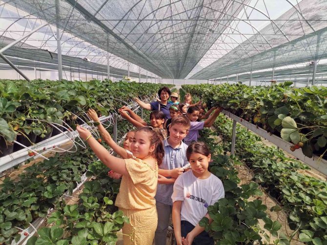 Tatile ‘Doğa Dostu’ Olarak Girdiler