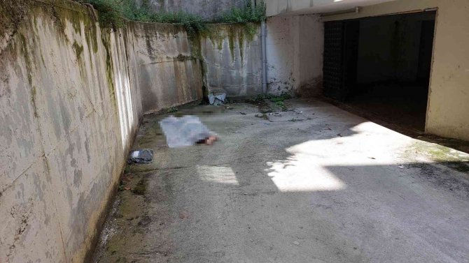 Karne Günü Evinin Penceresinden Düşen Lise Öğrencisi Hayatını Kaybetti