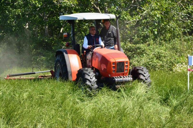 İ̇lkadım Çeşidi İ̇talyan Çimi Yem Bitkisi Yetiştiriciliği Tarla Günü