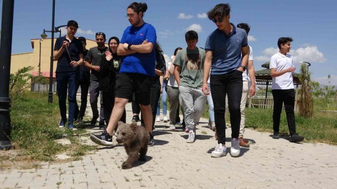 Van’da Öğrenciler Yks Öncesi Stres Attı
