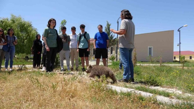 Van’da Öğrenciler Yks Öncesi Stres Attı