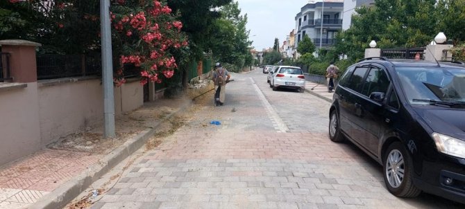 Yangına Davetiye Çıkaran Kurumuş Otlar Temizleniyor