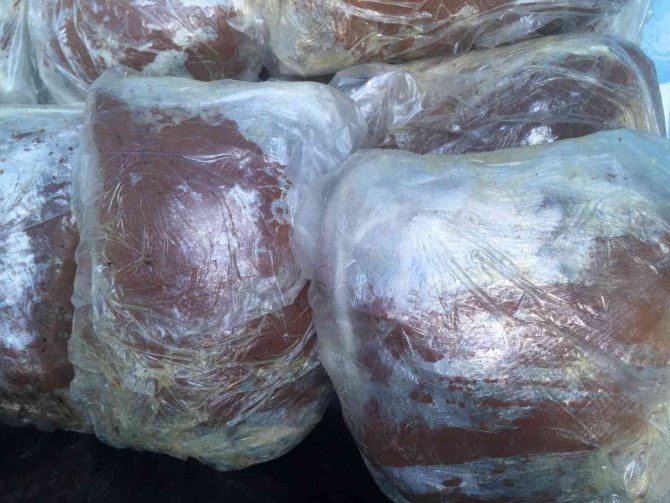 Kahve İle Kamufle Edilmiş 72 Kilo Esrar Ele Geçirildi