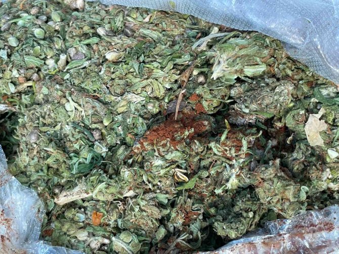 Kahve İle Kamufle Edilmiş 72 Kilo Esrar Ele Geçirildi