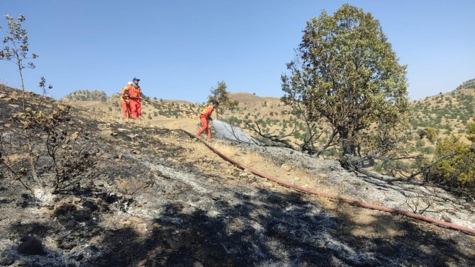 Bingöl’de Orman Yangını Büyümeden Söndürüldü